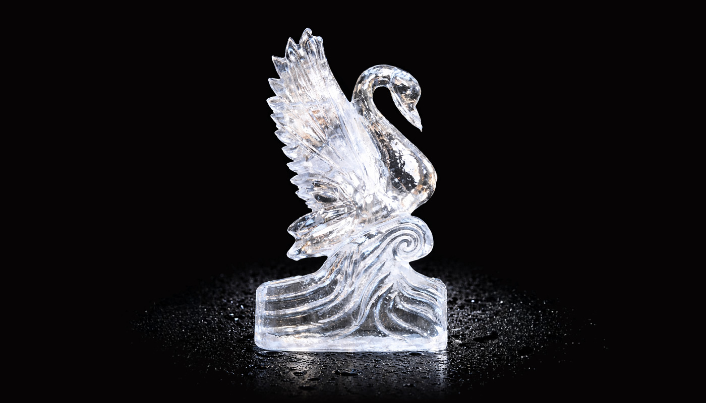 Ice Sculptures